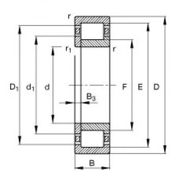 Original SKF Cylindrical Roller Bearings NUP2205-E-TVP2 FAG