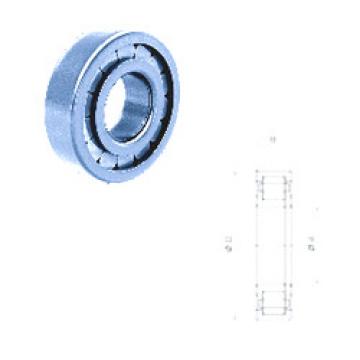 Original SKF Cylindrical Roller Bearings NUP2212FM/C3 Fersa