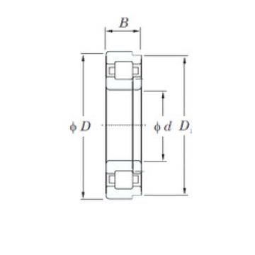 Original SKF Cylindrical Roller Bearings NUP2205R KOYO