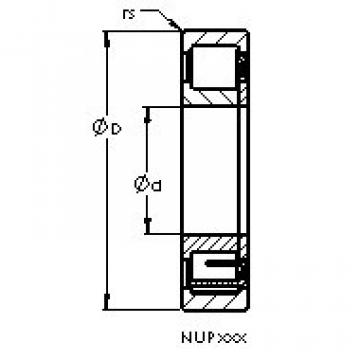 Original SKF Cylindrical Roller Bearings NUP2211 E AST