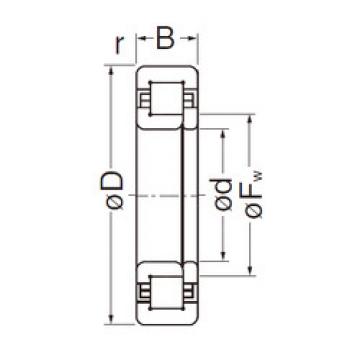 Original SKF Cylindrical Roller Bearings NUP2205EG NACHI