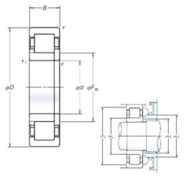 Original SKF Cylindrical Roller Bearings NUP219EM NSK