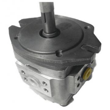 NACHI Gear pump IPH-6B-80-LT-21