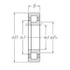 Original SKF Cylindrical Roller Bearings NUP2204E NTN