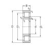 Original SKF Cylindrical Roller Bearings NUP220-E-MPA NKE