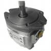 NACHI Gear pump IPH-6B-80-LT-21 #2 small image