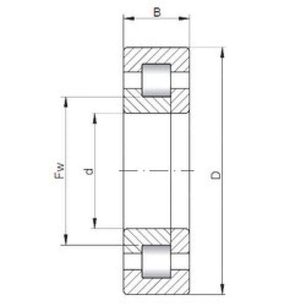 Original SKF Cylindrical Roller Bearings NUP2204 ISO #1 image