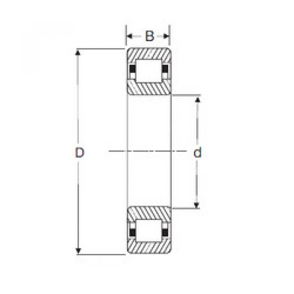 Original SKF Cylindrical Roller Bearings NUP2312 SIGMA #1 image