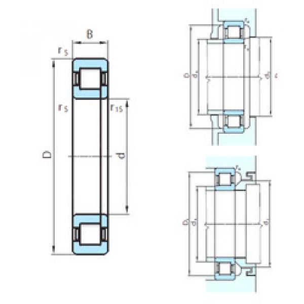 Original SKF Cylindrical Roller Bearings NUP29/1180 PSL #1 image