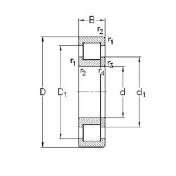 Original SKF Cylindrical Roller Bearings NUP220-E-MPA NKE #1 image