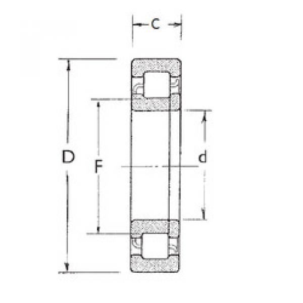 Original SKF Cylindrical Roller Bearings NUP2205 FBJ #1 image