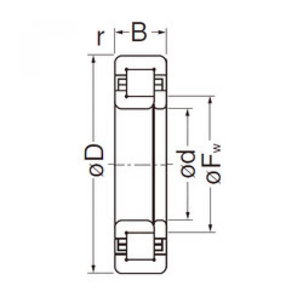 Original SKF Cylindrical Roller Bearings NUP2205EG NACHI #1 image