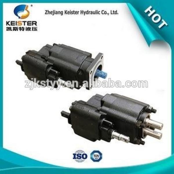 Wholesale DVSB-3V-20 products forklift hydraulic gear pump #1 image