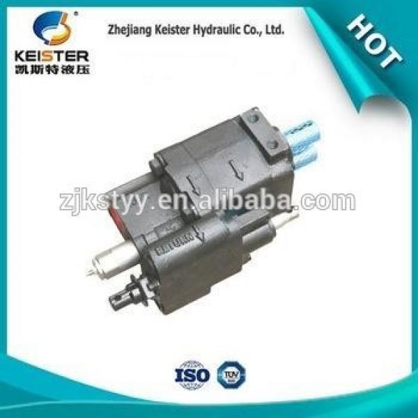 New DP317-20-L style low cost hydraulic power gear pump #1 image