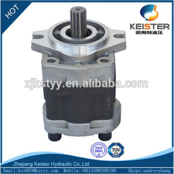 Trustworthy DS12P-20-L china supplier hydraulic gear pump parts #1 image