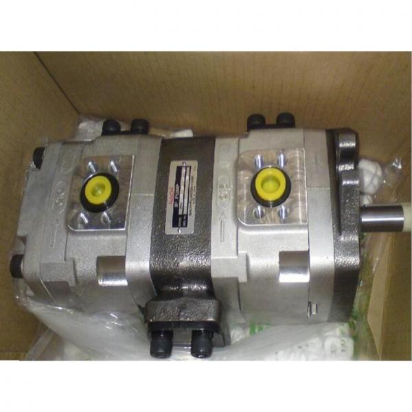 NACHI Gear pump IPH-6A-100-L-11 #2 image