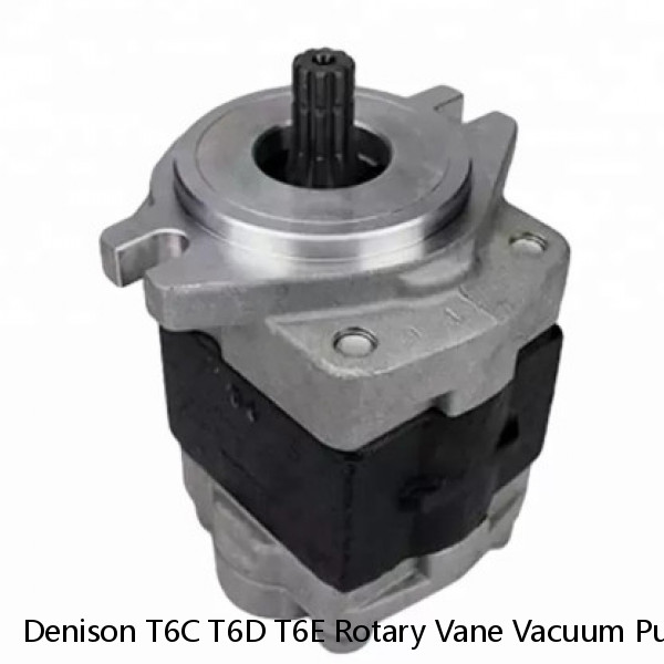 Denison T6C T6D T6E Rotary Vane Vacuum Pump for Marine Machine #1 image