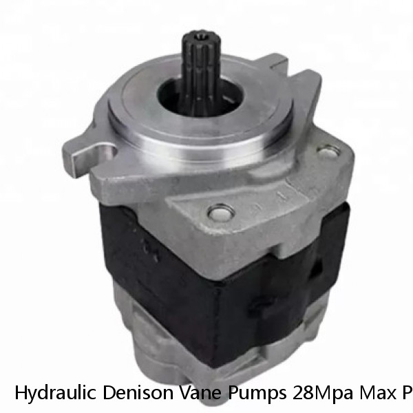 Hydraulic Denison Vane Pumps 28Mpa Max Pressure For Engineering Machinery #1 image